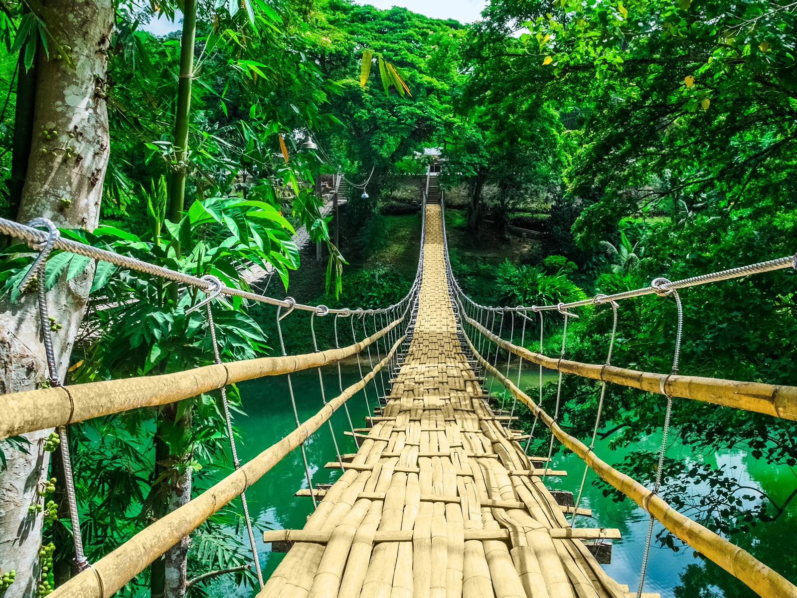 tap0560-100x750-vliestapete-natur-bruecke-haengebr-cke-urwald-thailand