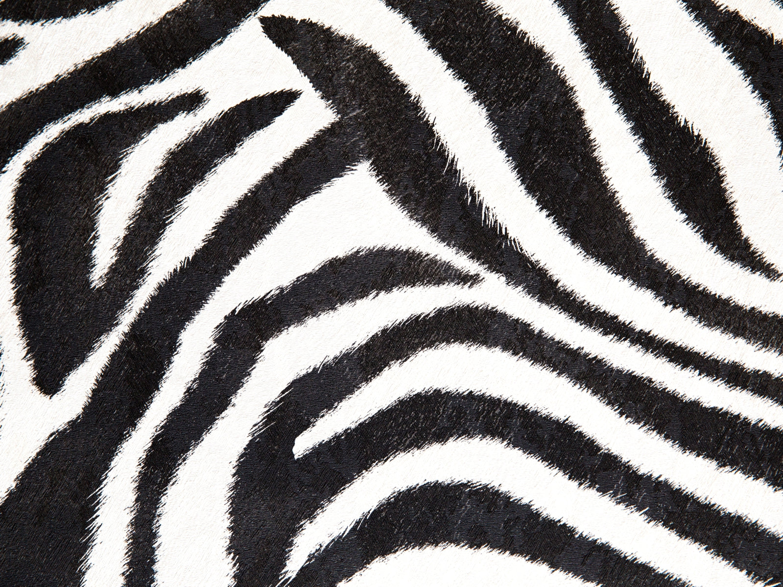 vlies-tapete-fototapete-tap0482-1000x750-zebra-fell